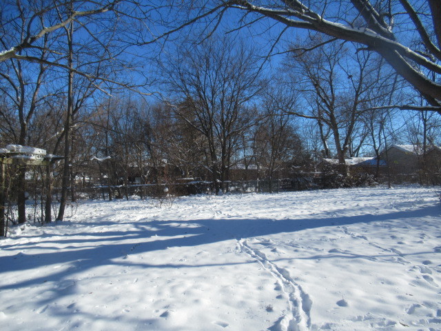 28448 West Big Hollow Road Ingleside, IL 60041 - Photo 27 of 28 a view of road and trees