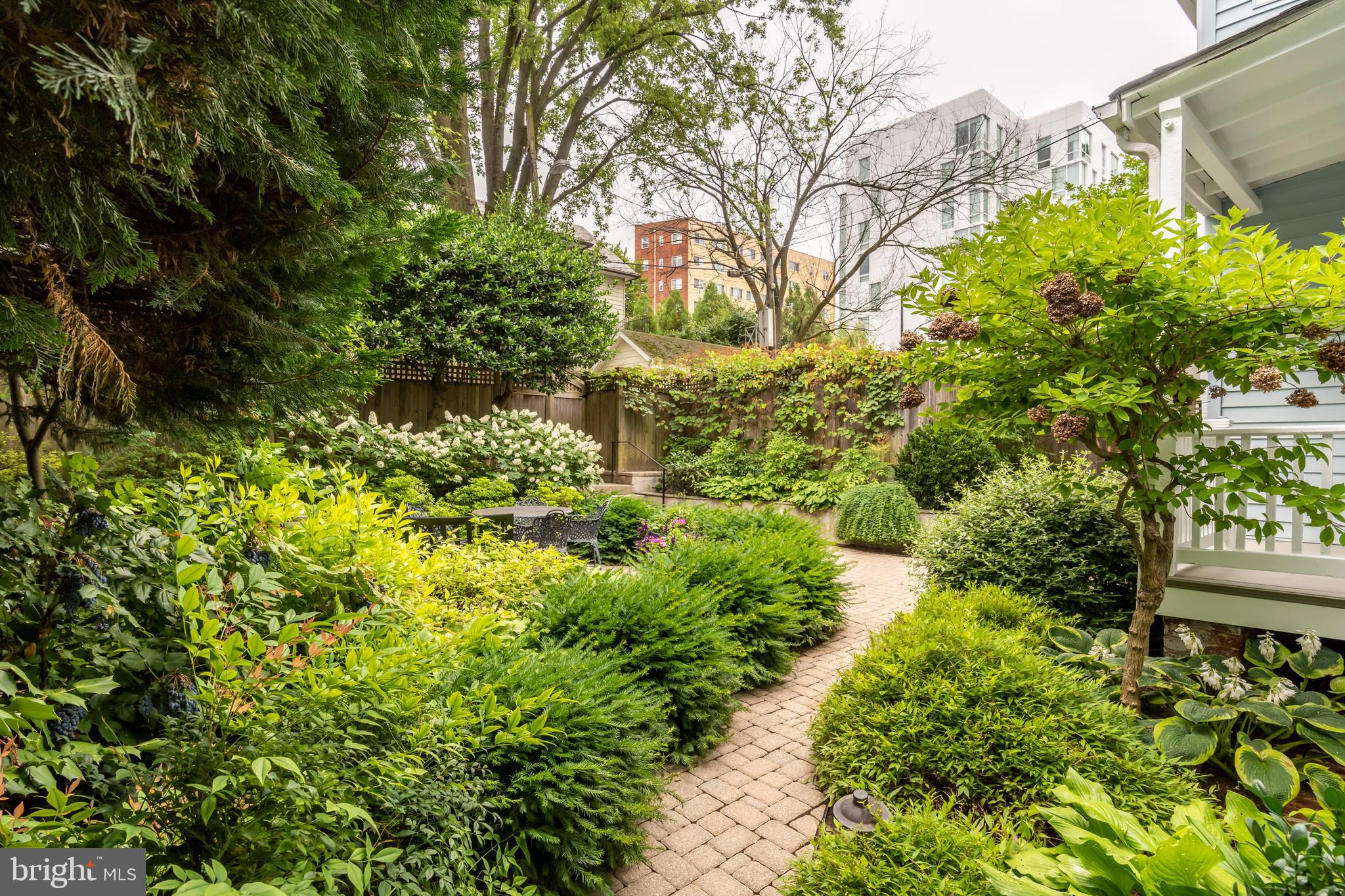 3708 Military Road Northwest Washington, DC 20015 - Photo 25 of 40 Gorgeous gardens