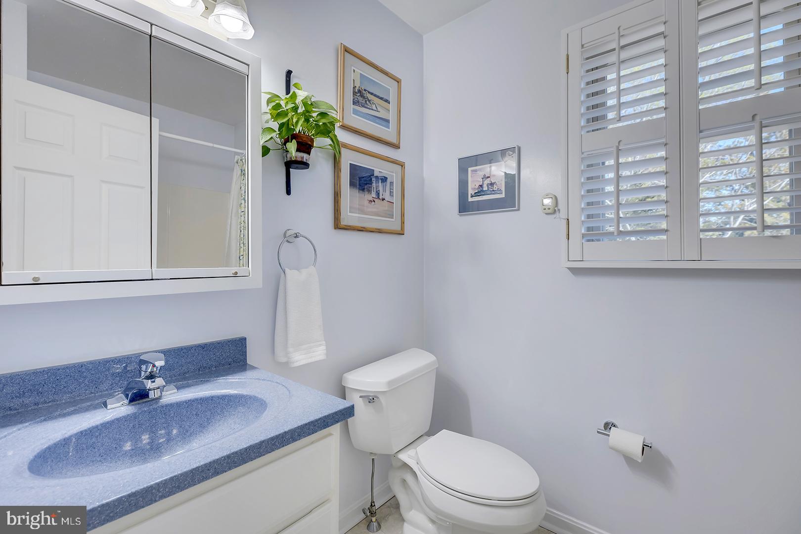 33006 Deer Trail Millville, DE 19967 - Photo 21 of 54 a bathroom with a granite countertop toilet a sink and a mirror