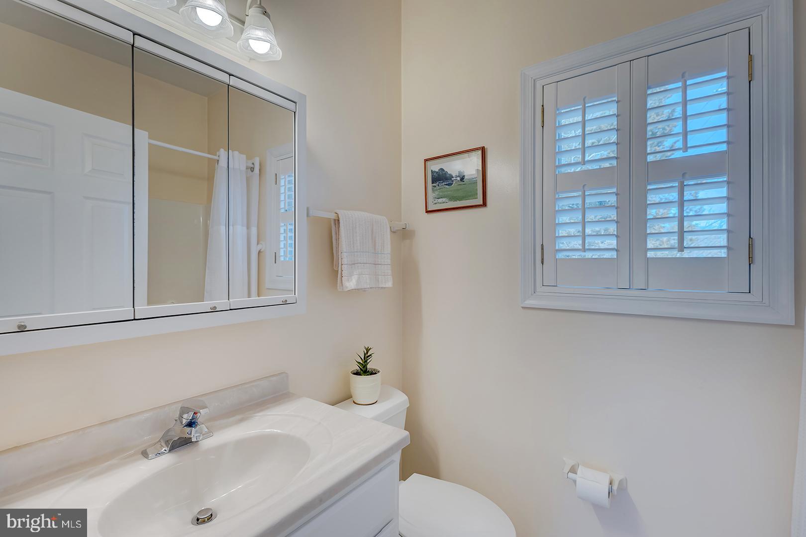 33006 Deer Trail Millville, DE 19967 - Photo 26 of 54 a bathroom with a sink and a toilet