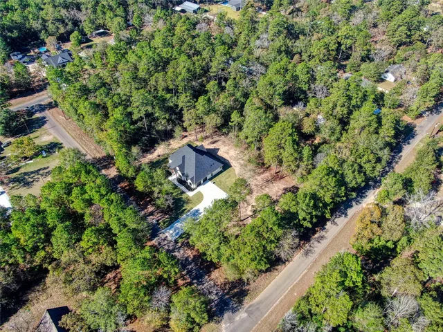 a view of a garden with plants