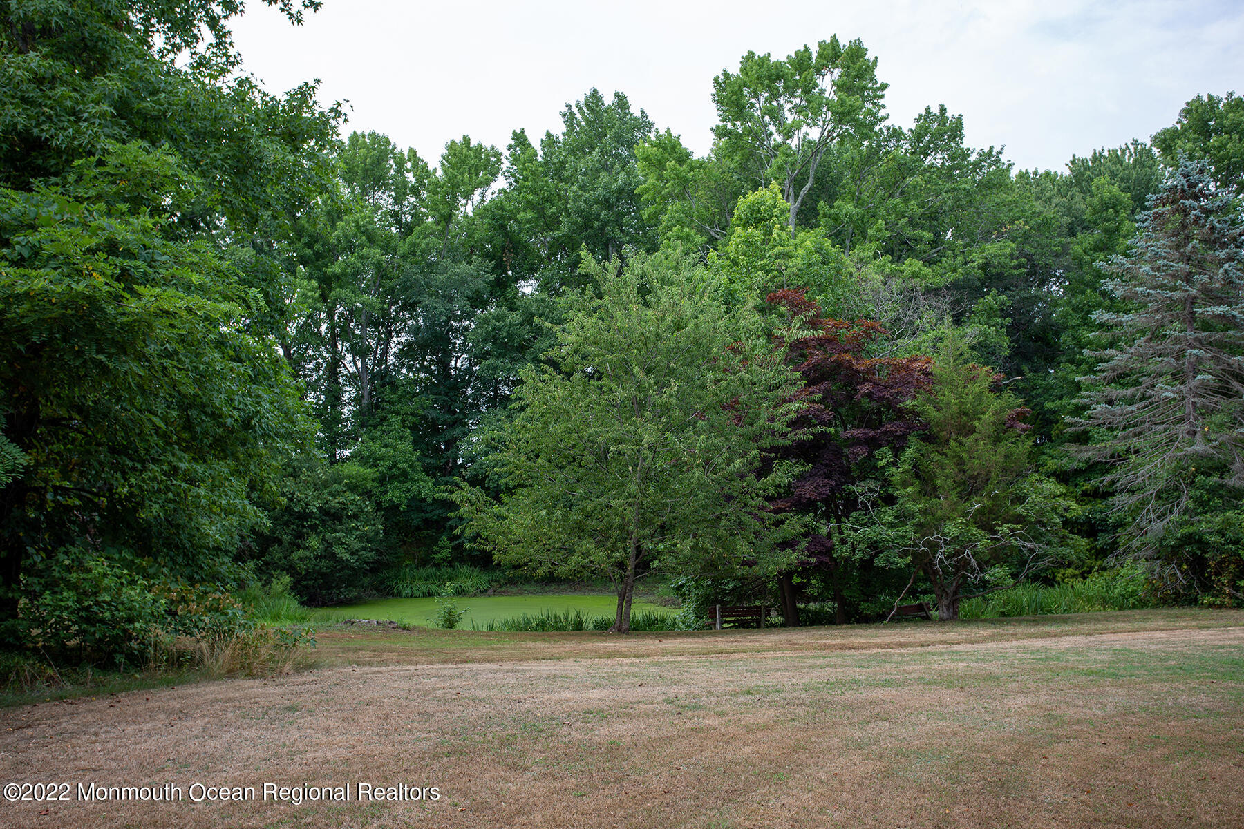 18 Water Street Colts Neck, NJ 07722 - Photo 21 of 26 A72A8190