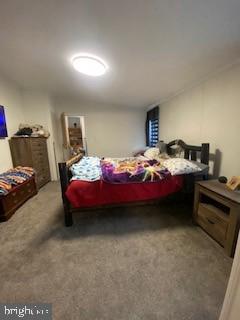 401 Bull Road Pitman, PA 17964 - Photo 10 of 21 Master Bedroom