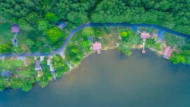 a view of a garden with a lake