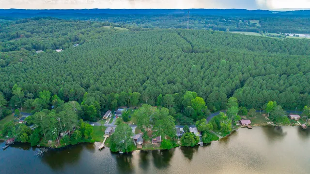 a view of a lake with a forest