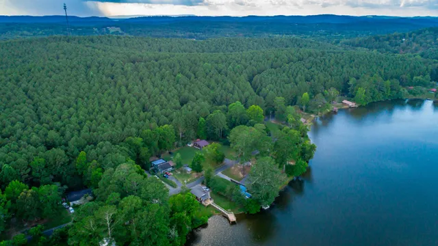 a close up of a flower in a garden