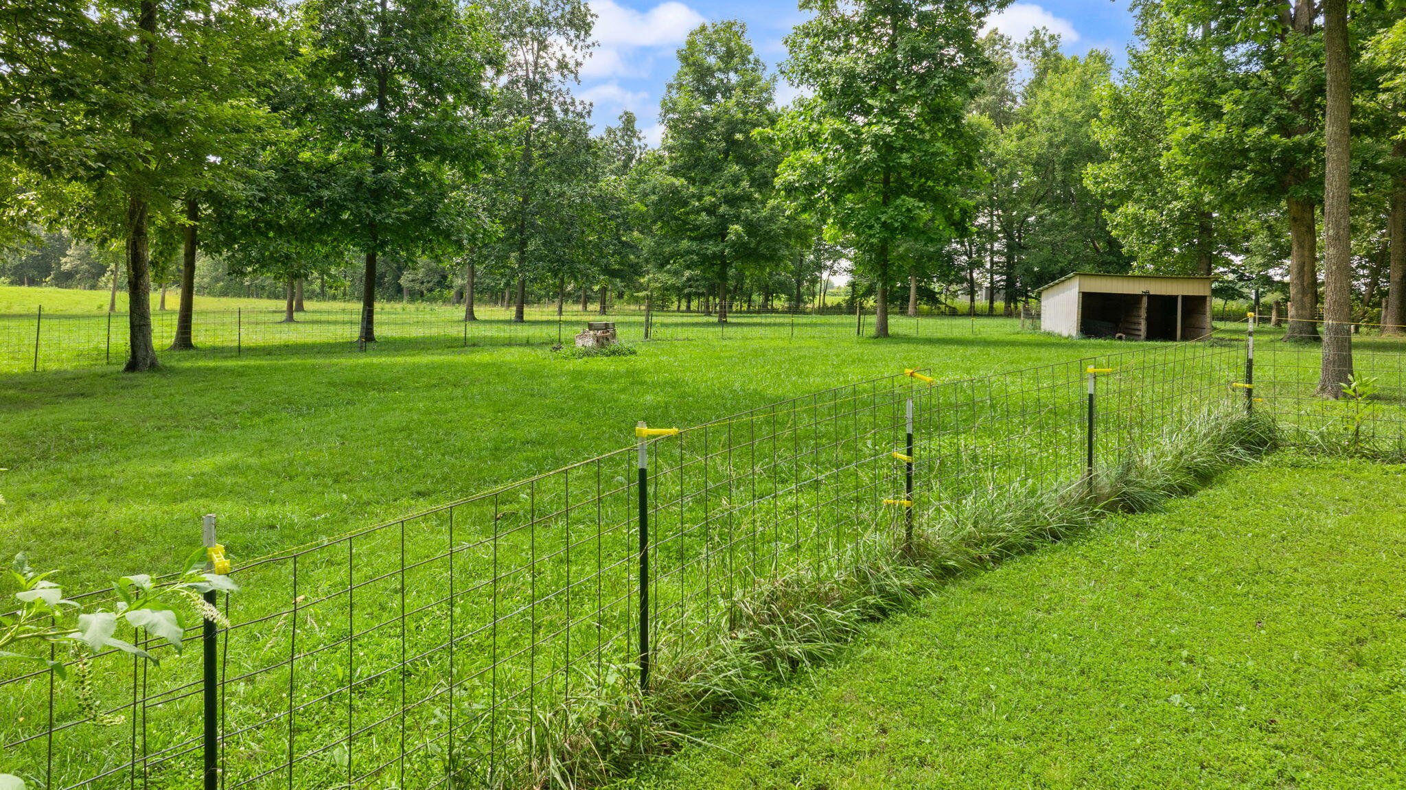 1545 Liberty Road Eubank, KY 42567 - Photo 50 of 54 52-web-or-mls-DJI_20260629153704_0198_D