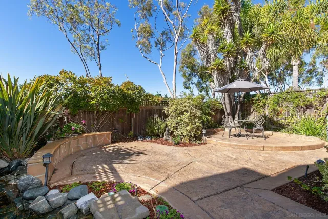 a view of a backyard with plants