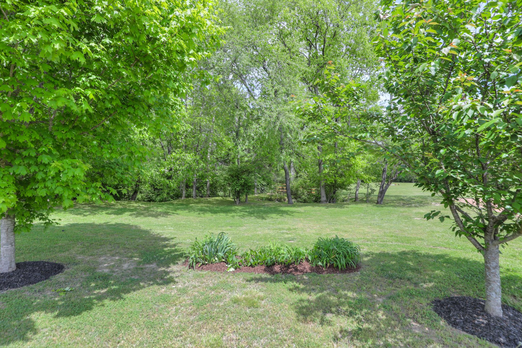 202 Ridgewater Way Mount Juliet, TN 37122 - Photo 5 of 30 a view of a big yard with large trees