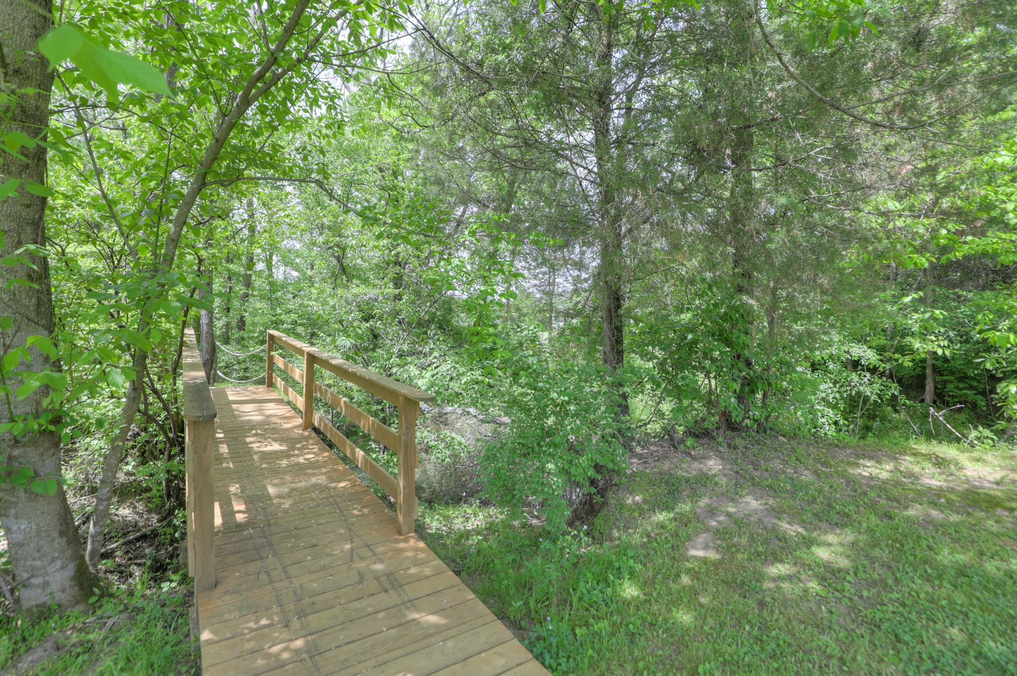 202 Ridgewater Way Mount Juliet, TN 37122 - Photo 6 of 30 a view of a pathway both side of yard