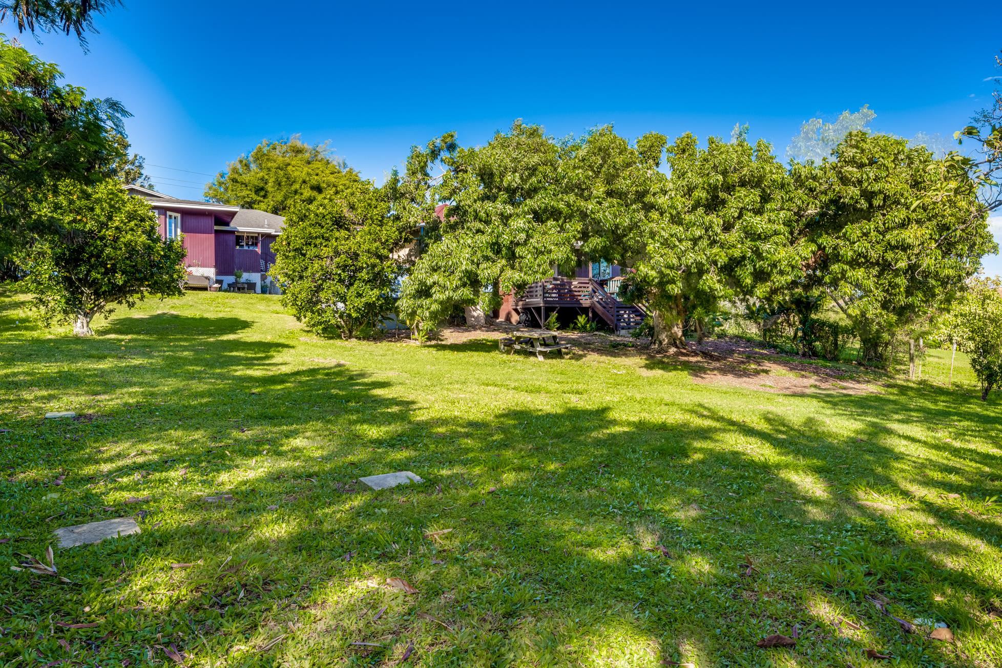 951 Kokomo Road Haiku, HI 96708 - Photo 36 of 50 a backyard of a house with lots of green space and plants