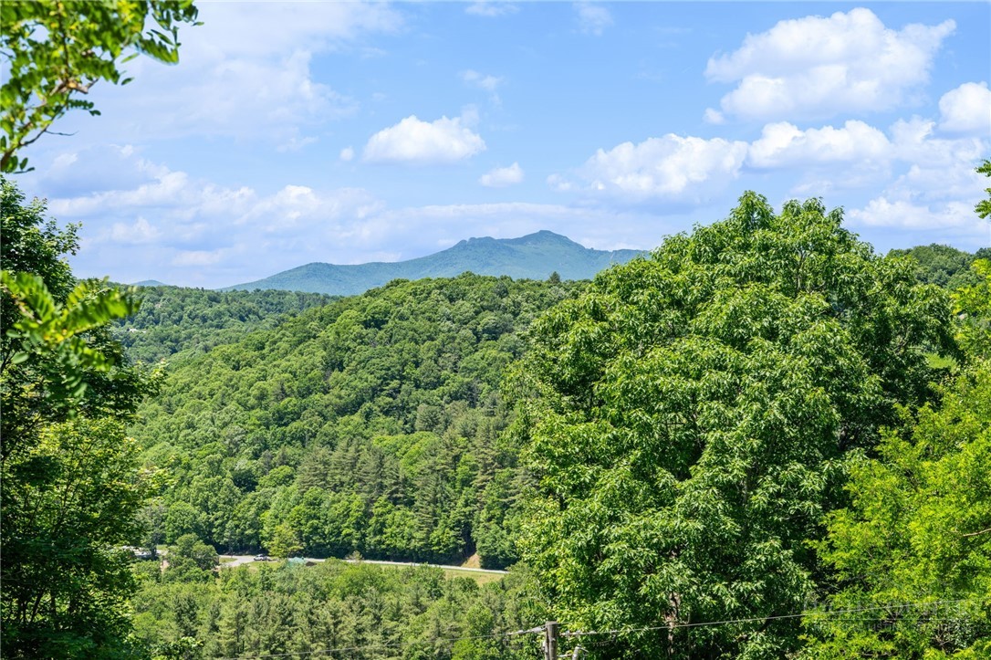 310 Locust Point Drive Boone, NC 28607 - Photo 9 of 33