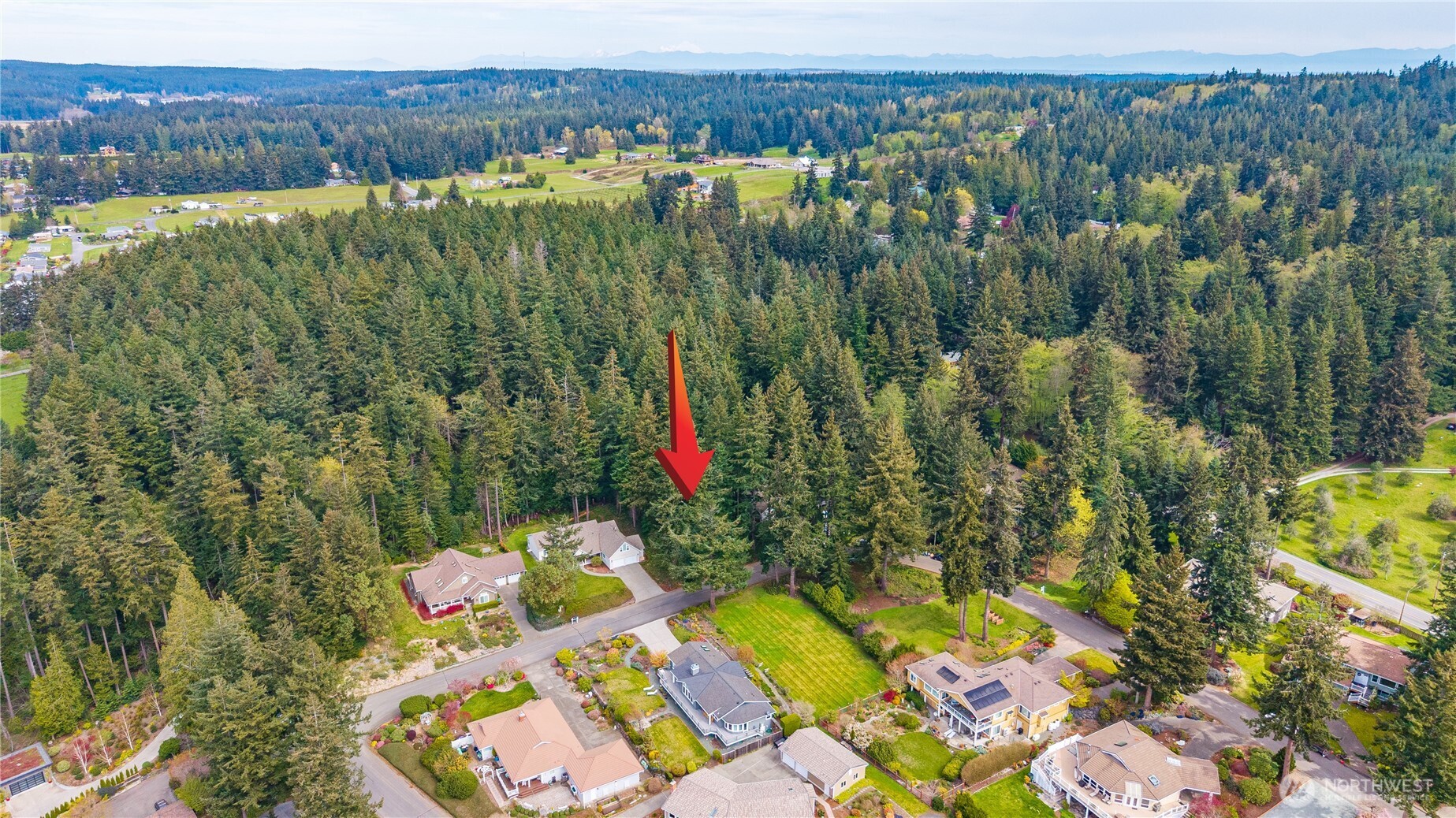 19 Sahalee Court Clinton, WA 98236 - Photo 4 of 24