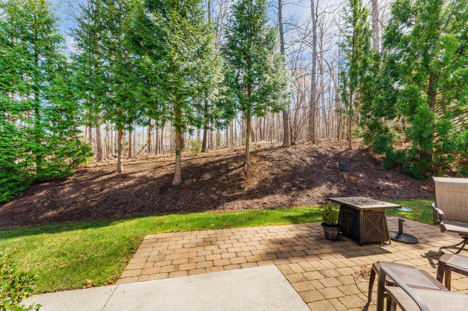 1099 Jefferson Way Forest, VA 24551 - Photo 34 of 45