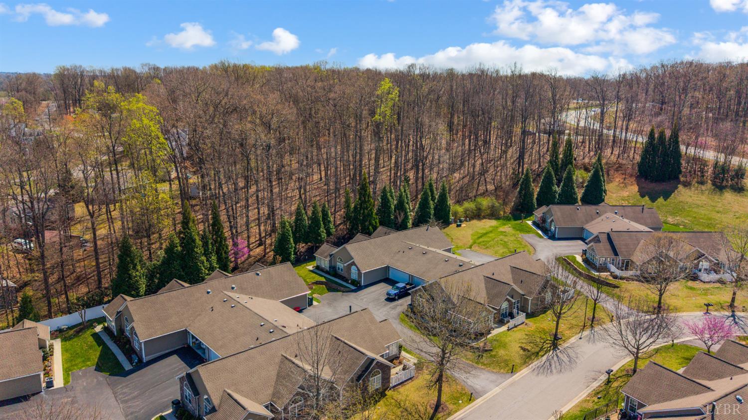 1099 Jefferson Way Forest, VA 24551 - Photo 37 of 45