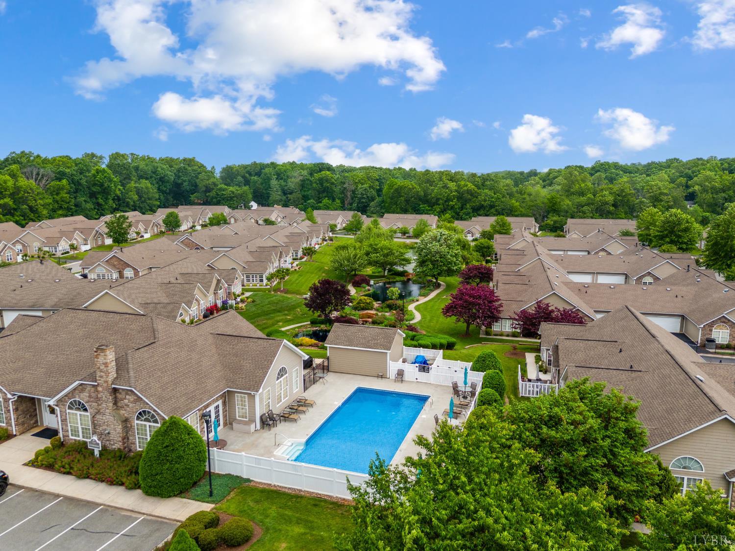 1099 Jefferson Way Forest, VA 24551 - Photo 43 of 45