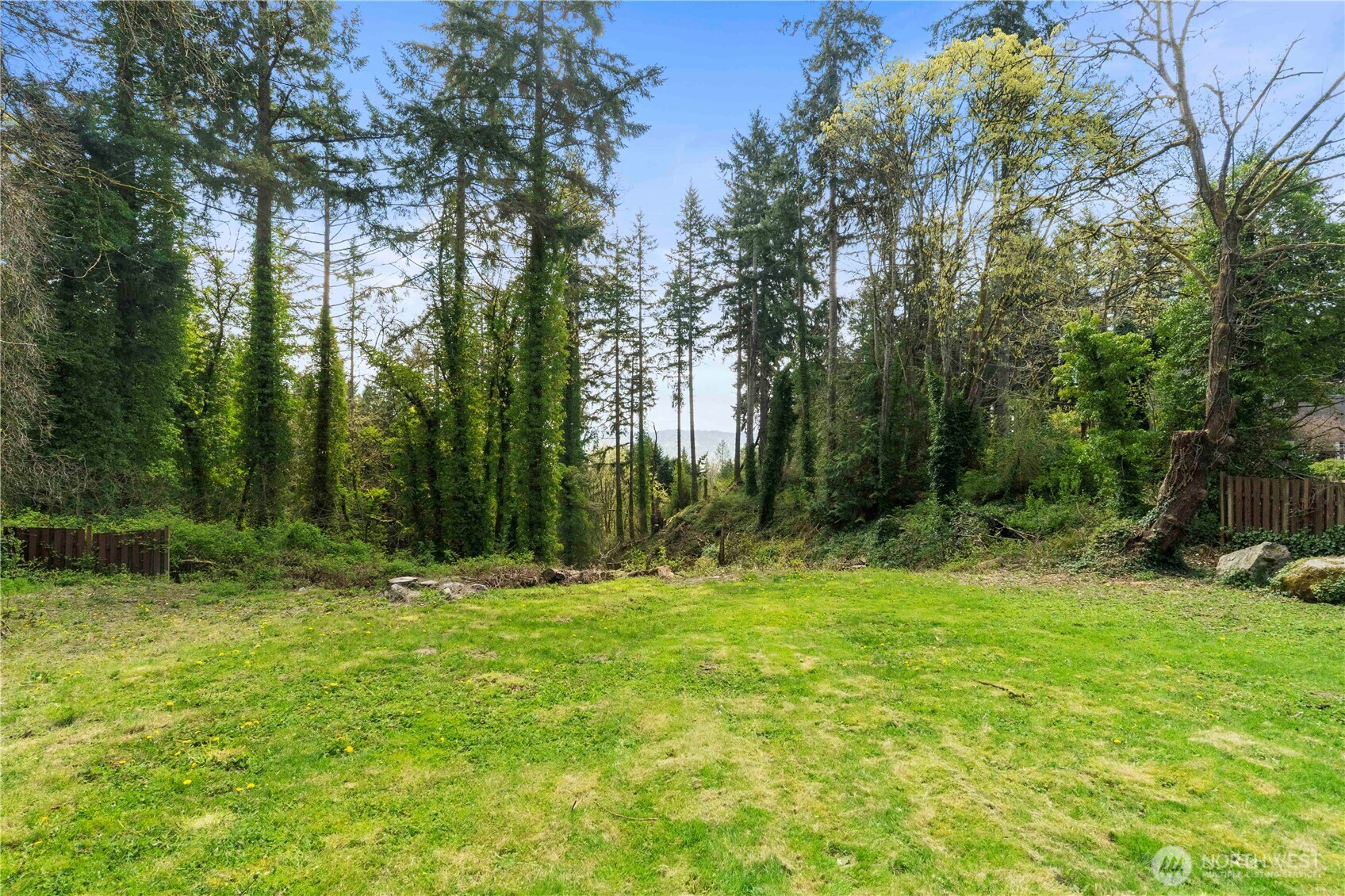 11716 48th Street East Edgewood, WA 98372 - Photo 23 of 29 a backyard of a house with lots of green space