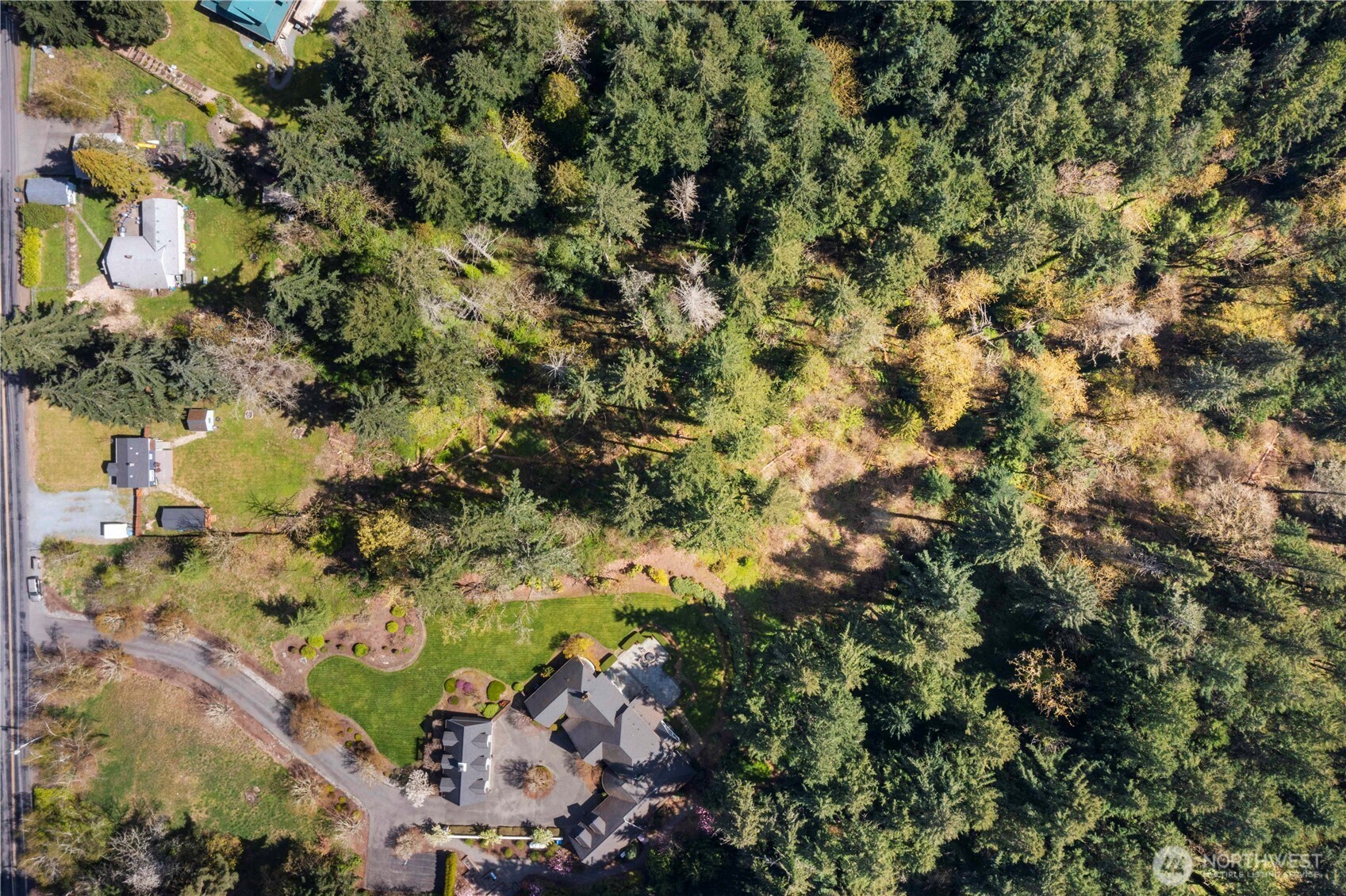 11716 48th Street East Edgewood, WA 98372 - Photo 26 of 29 a view of a tree