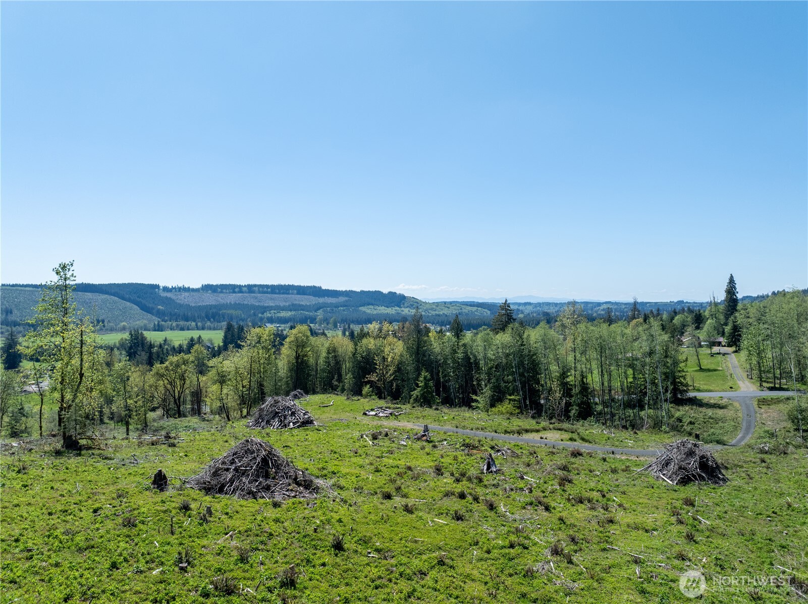 0 August Road Onalaska, WA 98570 - Photo 6 of 12 Gallery Image 6