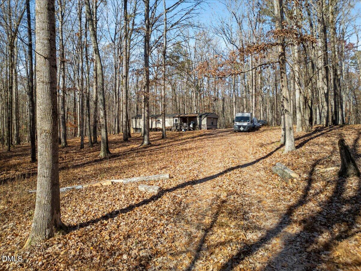 407 Mountain Brook Road Rougemont, NC 27572 - Photo 18 of 23 a view of a yard with large trees