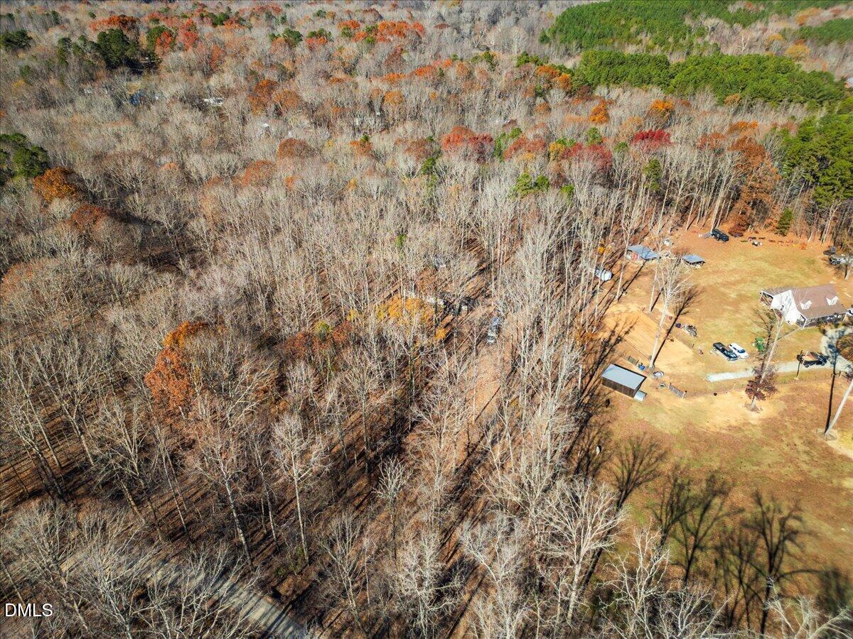 407 Mountain Brook Road Rougemont, NC 27572 - Photo 3 of 23 a view of a tree