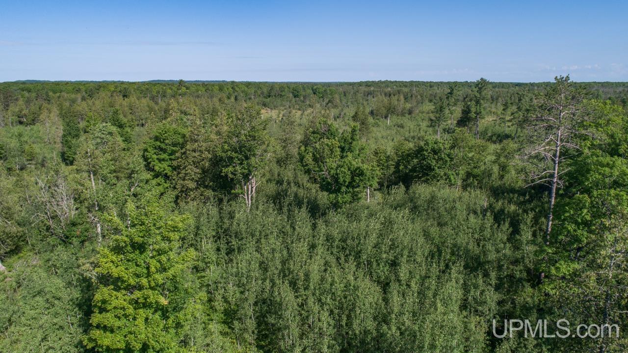 Tbd 80-acres 30th Road Rapid River, MI 49878 - Photo 9 of 17