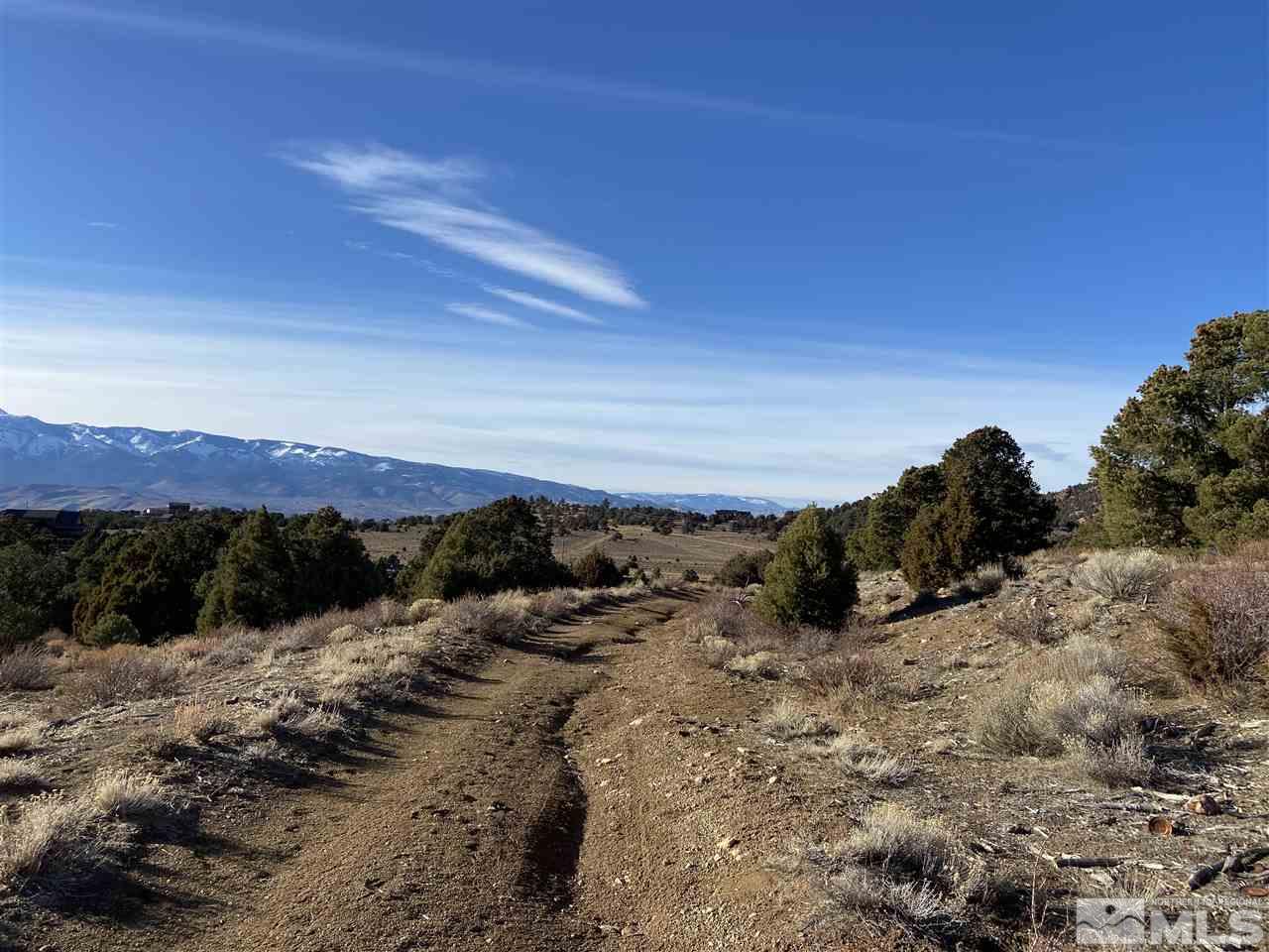 310 East 5 Mile Road Reno, NV 89521 - Photo 1 of 5 a view of a dry yard with mountains in the background