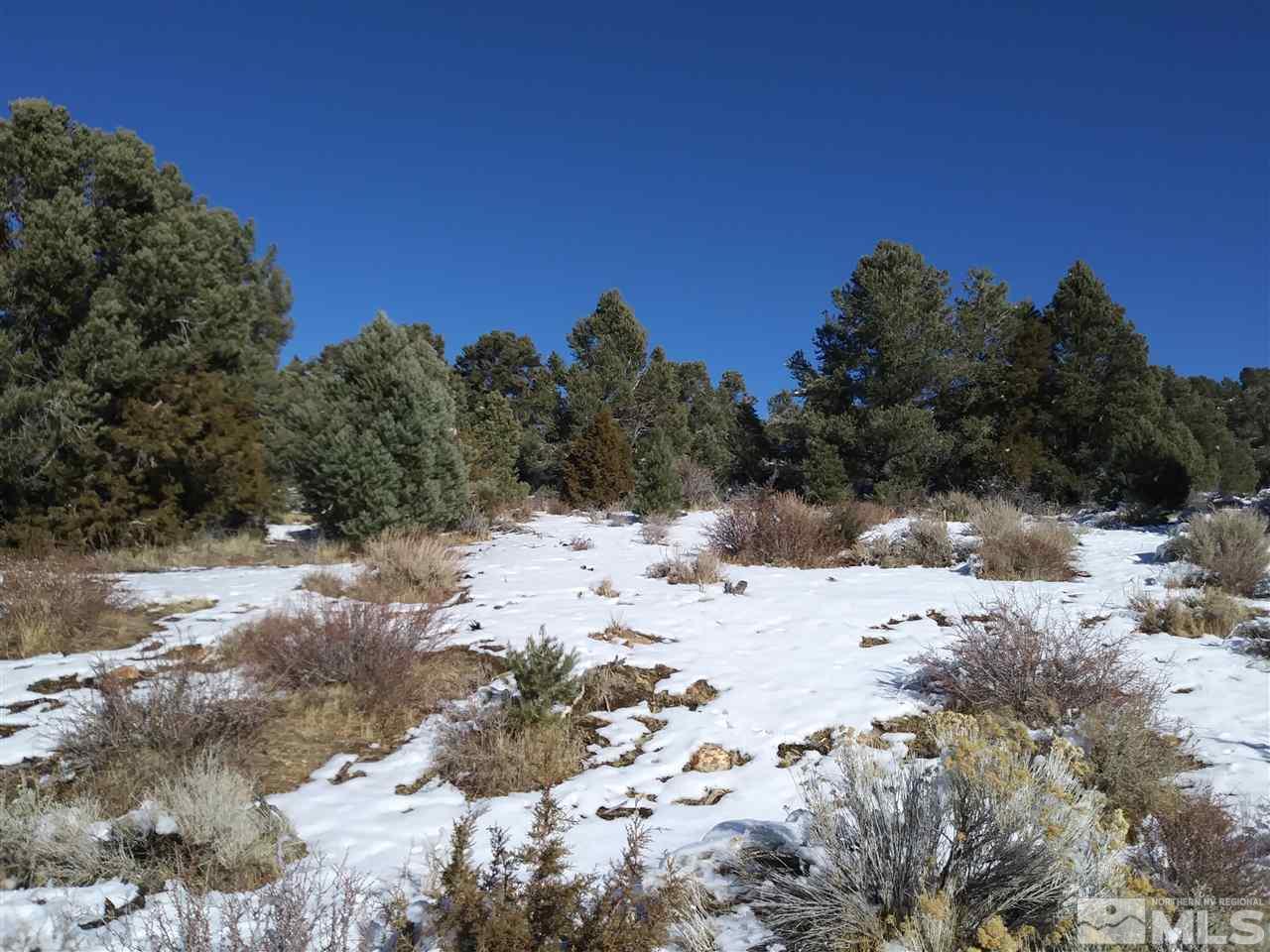 310 East 5 Mile Road Reno, NV 89521 - Photo 2 of 5 a view of a dry yard with a tree