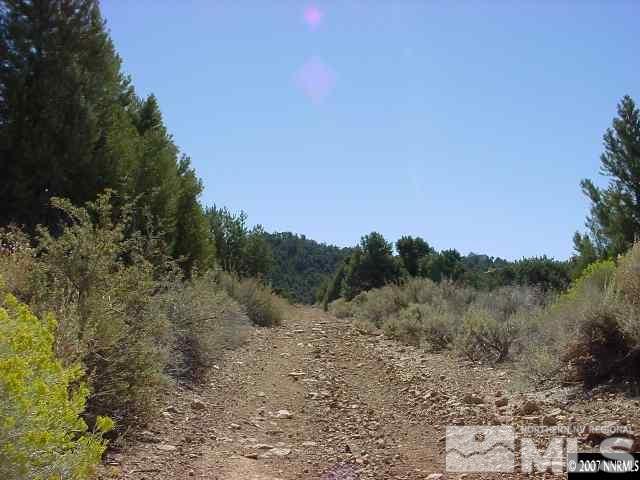 310 East 5 Mile Road Reno, NV 89521 - Photo 3 of 5 a view of a forest with trees in the background
