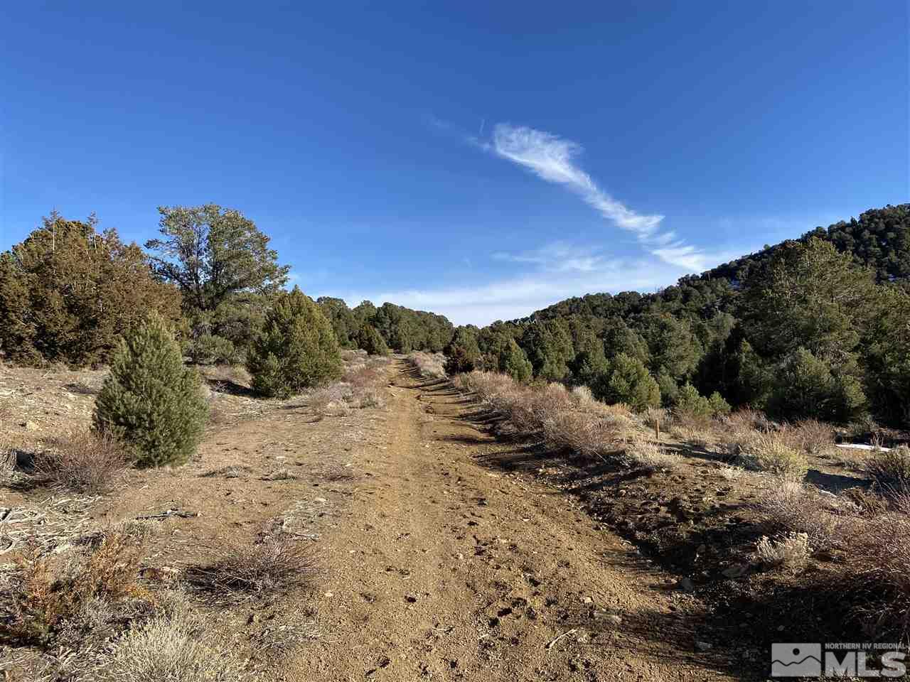 310 East 5 Mile Road Reno, NV 89521 - Photo 5 of 5 a view of a dry yard with lots of trees