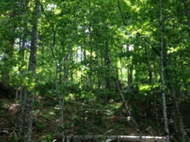 On Ormes Road, Unit LOT 1 Presque Isle, WI 54557 - Photo 5 of 8 Gallery Image 5