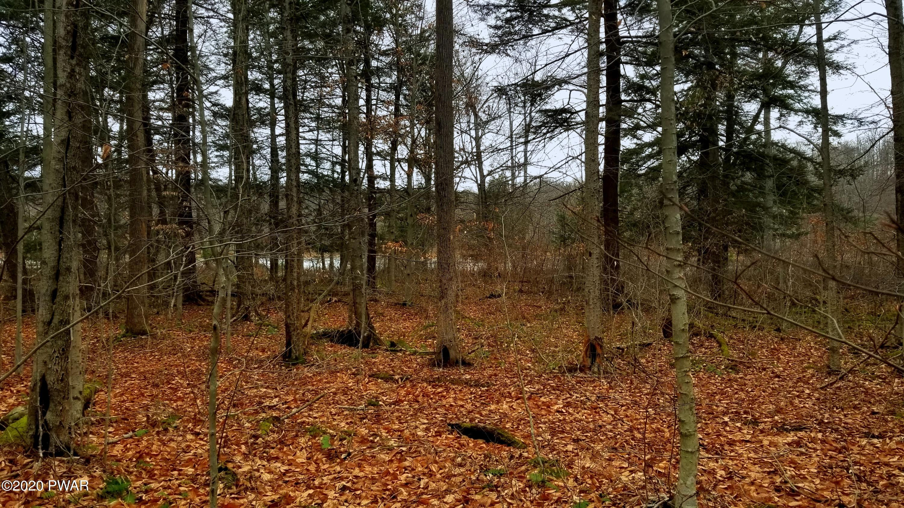 Lot 80 Stonegate Road Equinunk, PA 18417 - Photo 41 of 58