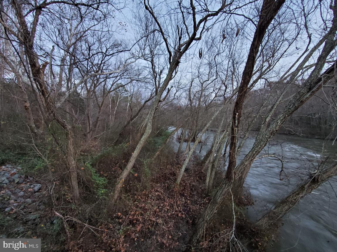 0 Hewlett Road Ruther Glen, VA 22546 - Photo 4 of 7