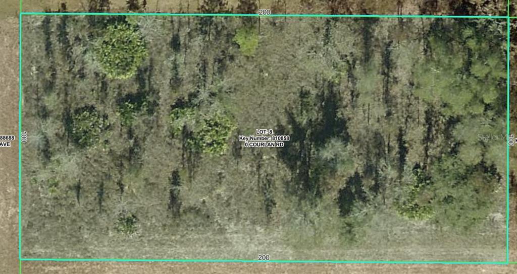 Courlan Road Weeki Wachee, FL 34614 - Photo 2 of 4