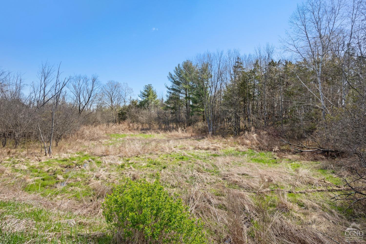 0 Farm To Market Road Athens, NY 12015 - Photo 8 of 13 Photo 8