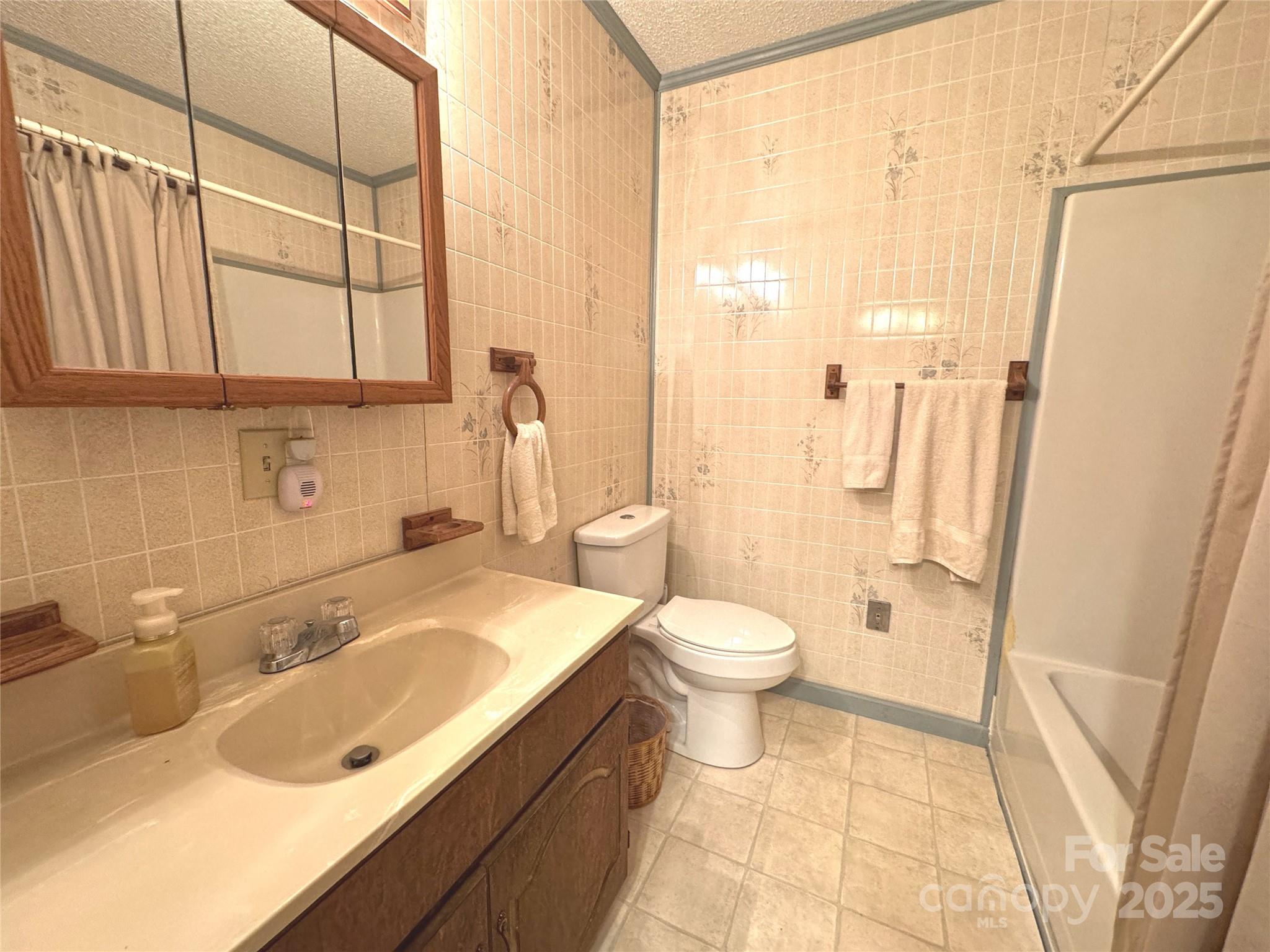 1622 Meadow Fork Road Hot Springs, NC 28743 - Photo 13 of 31 a bathroom with a sink a toilet and a shower