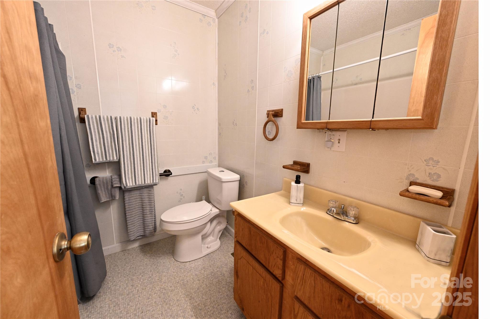 1622 Meadow Fork Road Hot Springs, NC 28743 - Photo 16 of 31 a bathroom with a sink toilet and mirror