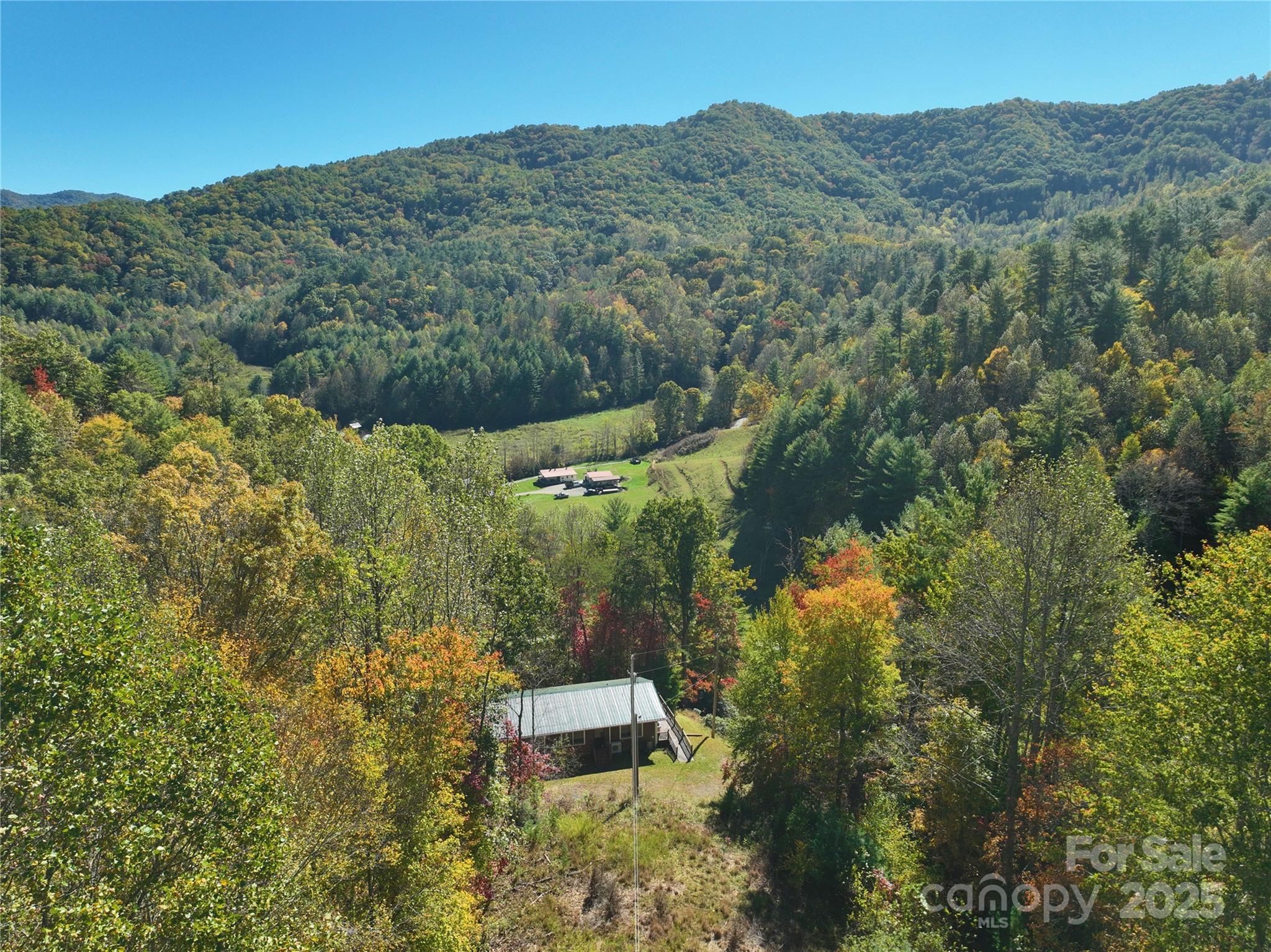 1622 Meadow Fork Road Hot Springs, NC 28743 - Photo 2 of 31 an aerial view of residential house with outdoor space and trees all around
