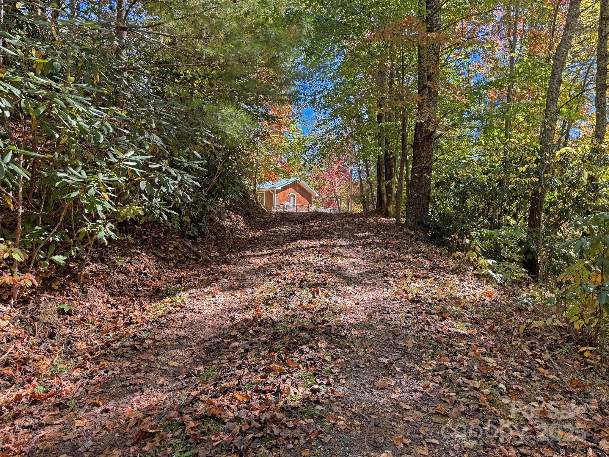 1622 Meadow Fork Road Hot Springs, NC 28743 - Photo 29 of 31 a view of a tree in the middle of a yard