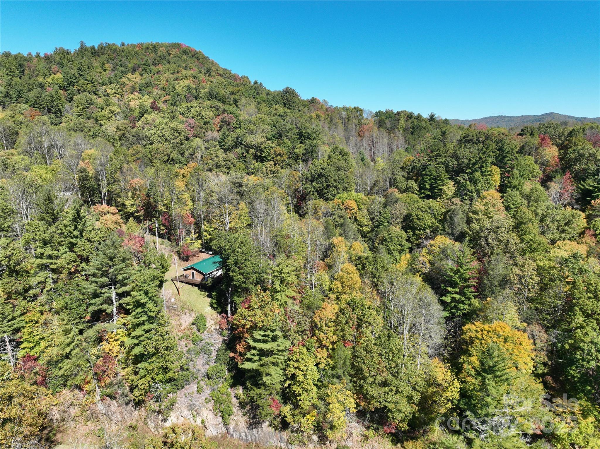 1622 Meadow Fork Road Hot Springs, NC 28743 - Photo 6 of 31 a view of a forest with a mountain