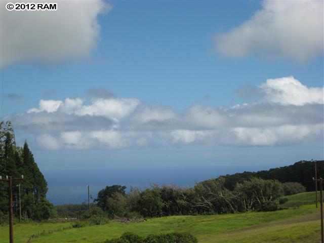 748 Awalau Road Haiku, HI 96708 - Photo 1 of 4 a view of a bunch of trees in a field