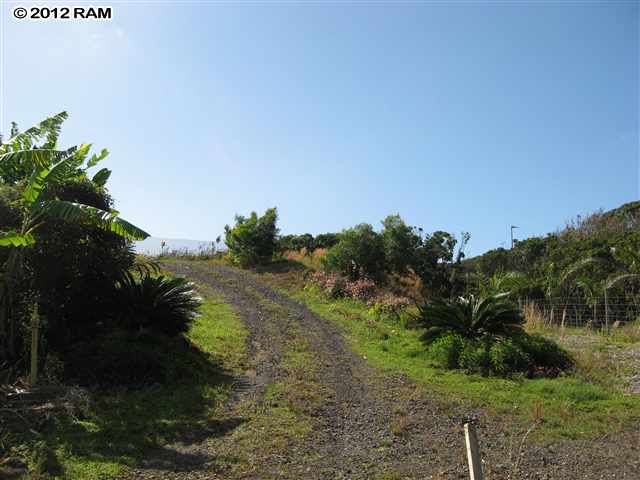 748 Awalau Road Haiku, HI 96708 - Photo 3 of 4 a view of a yard