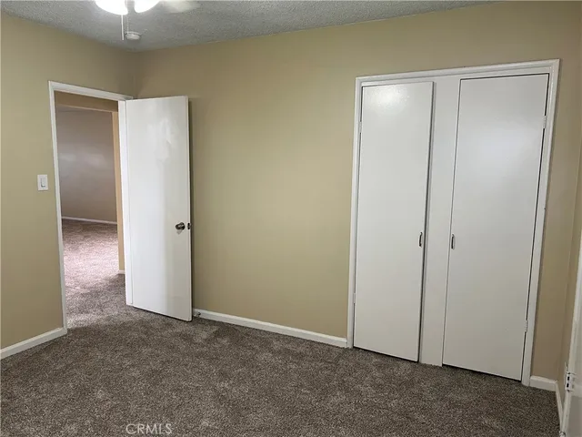 a backyard of a house with plants and large tree