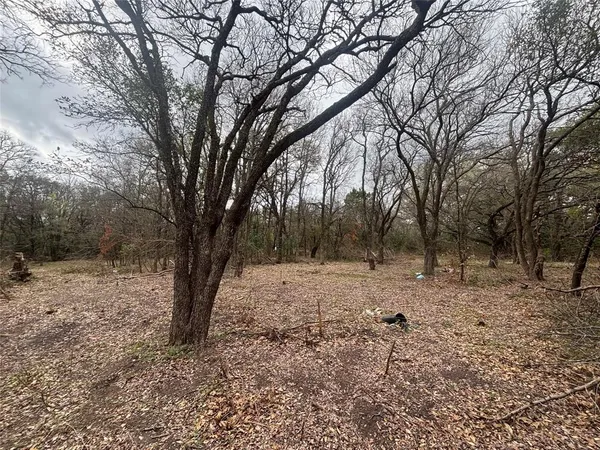 a view of dirt yard with a tree