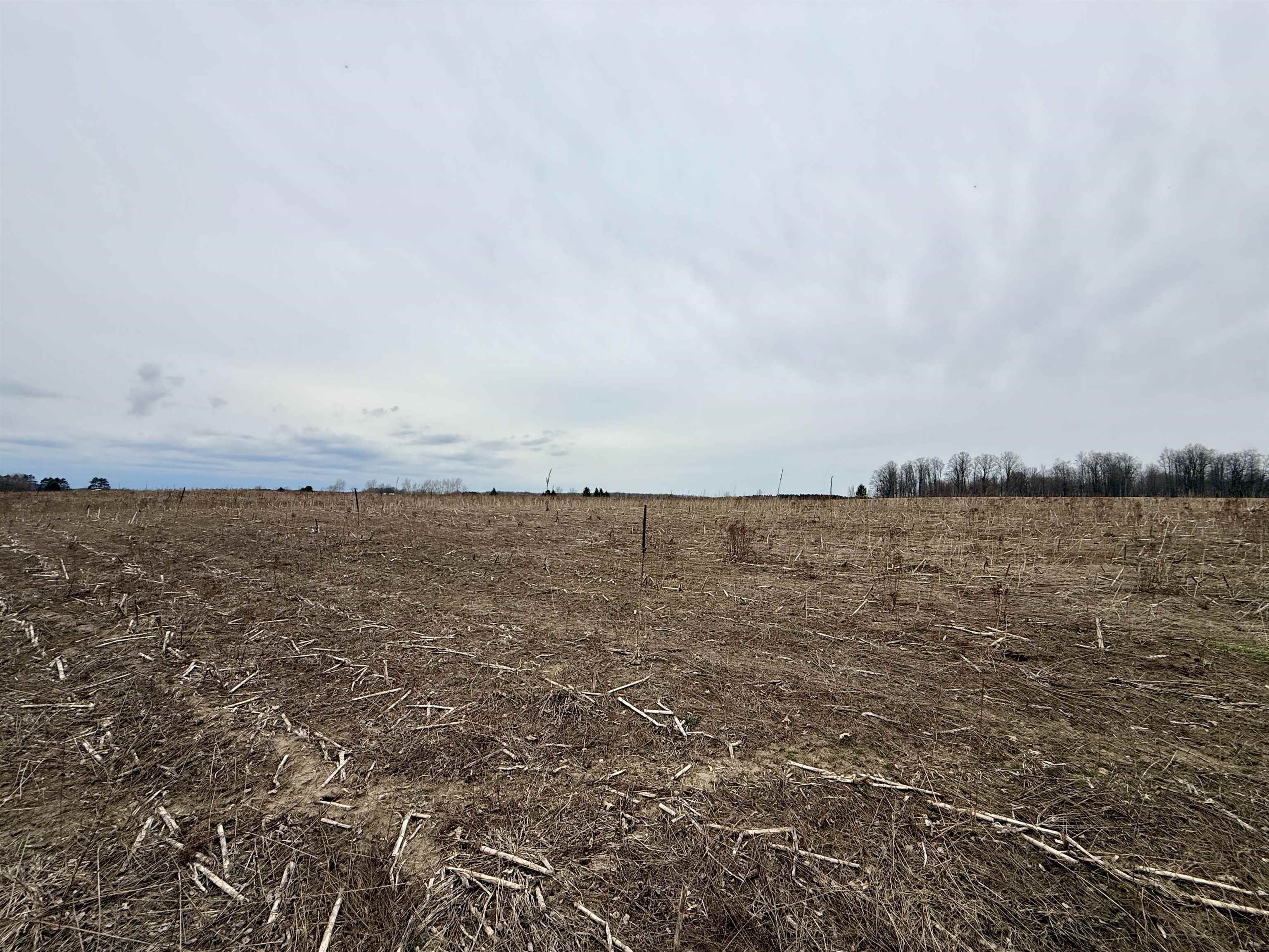 Gleaner Hall Road Kingsley, MI 49649 - Photo 6 of 21