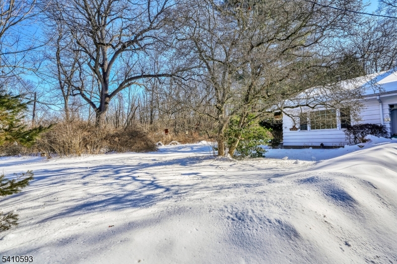 59 Furnace Road, Unit A Chester, NJ 07930 - Photo 4 of 14