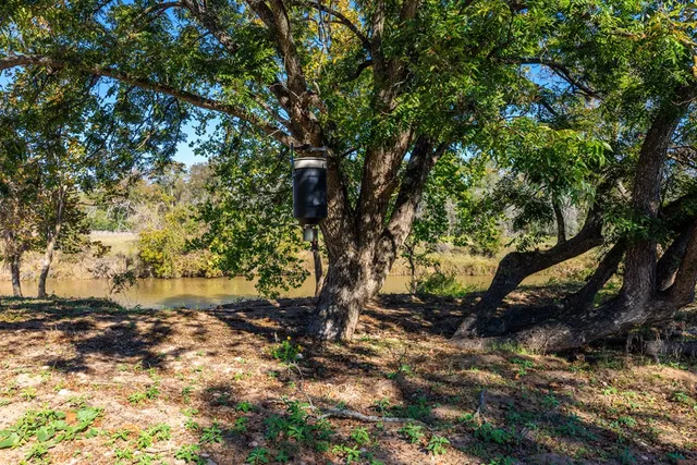 a view of backyard of a house