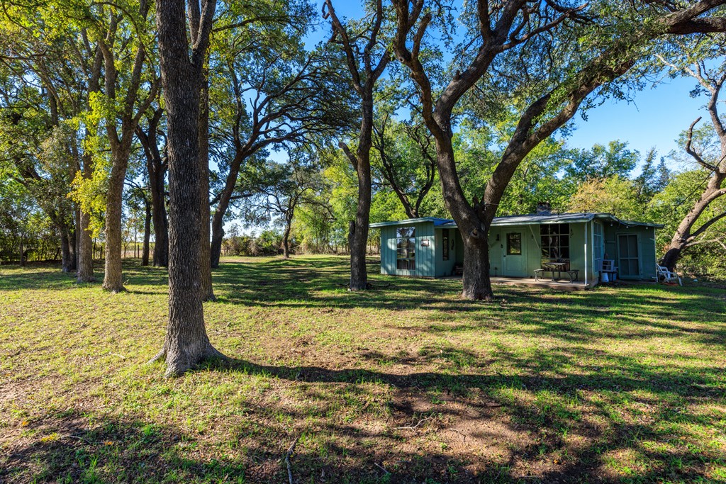 181 Ranch Road 1 Stonewall, TX 78671 - Photo 3 of 18 a view of a trees in a yard