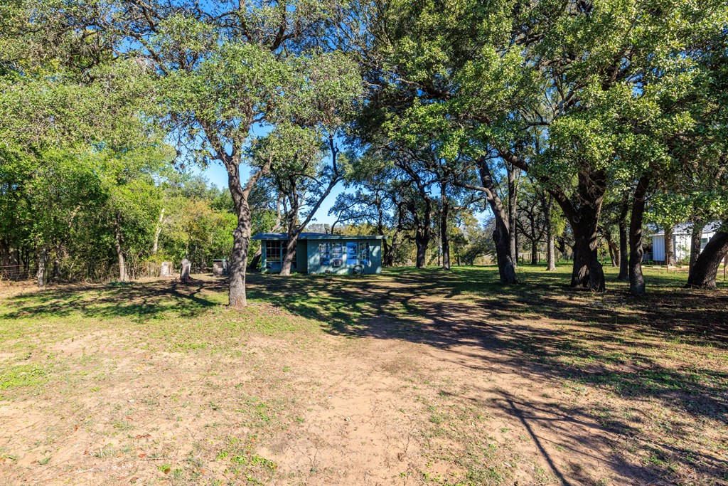 181 Ranch Road 1 Stonewall, TX 78671 - Photo 4 of 18 a view of a yard with a tree