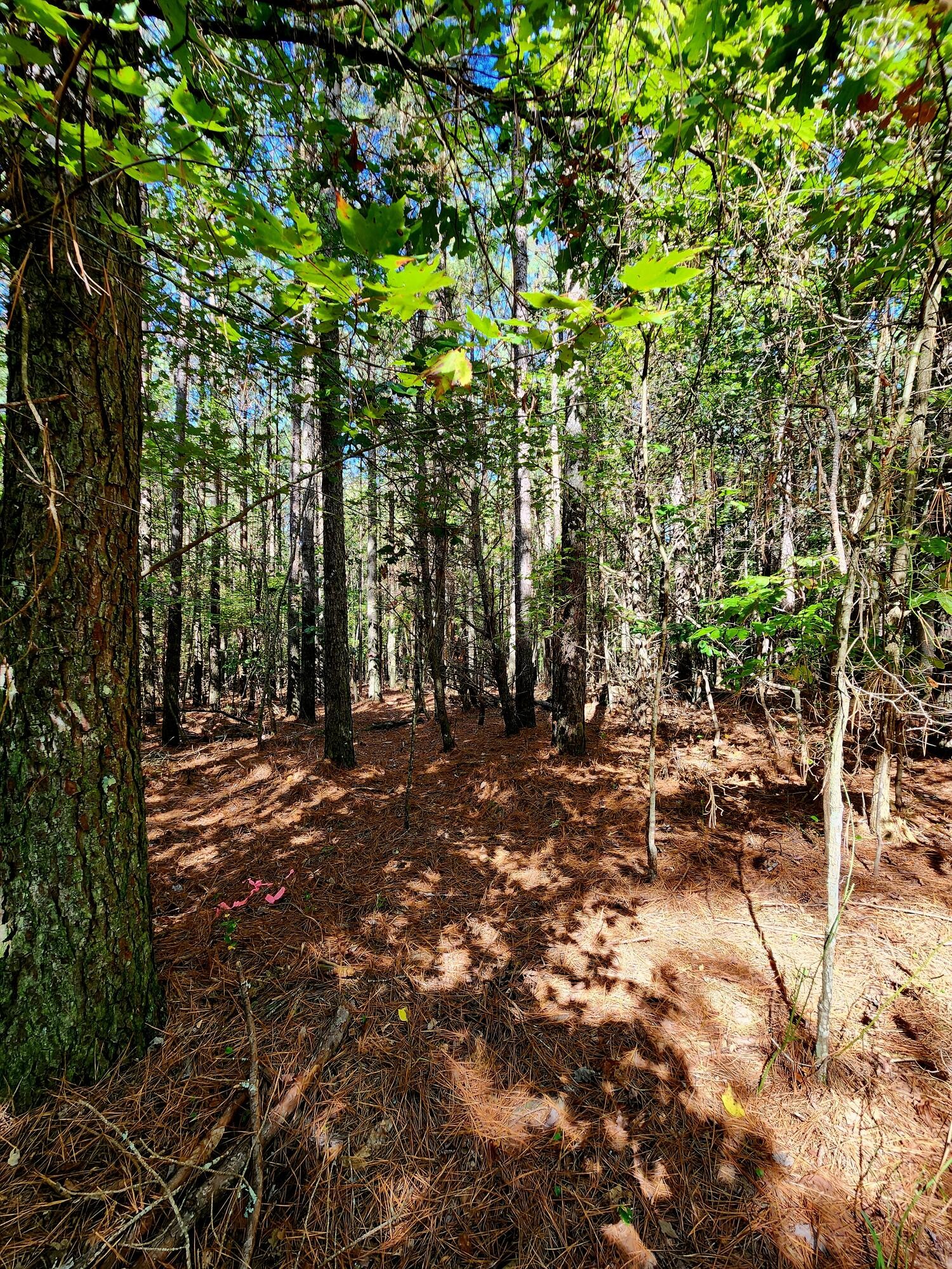 0 Ridge Wood Lane Spencer, TN 38585 - Photo 16 of 28 Gallery Image 16